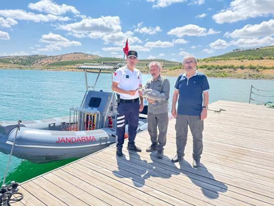 Yozgat'ta jandarmanın bulduğu gri balıkçıl tedaviye alındı