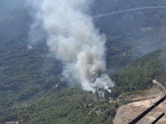 Antalya'nın Finike ilçesinde orman yangını çıktı