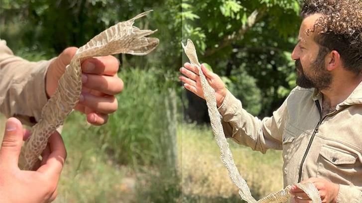 Irak sınırında şaşkına çeviren keşif: Tamamen bozulmamış