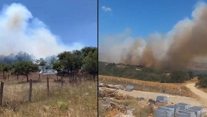 Son dakika... Silivri'de orman yangını! Müdahale başladı