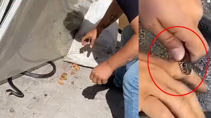 Eve giren yılanı yakalamak istedi, parmağını kaptırdı