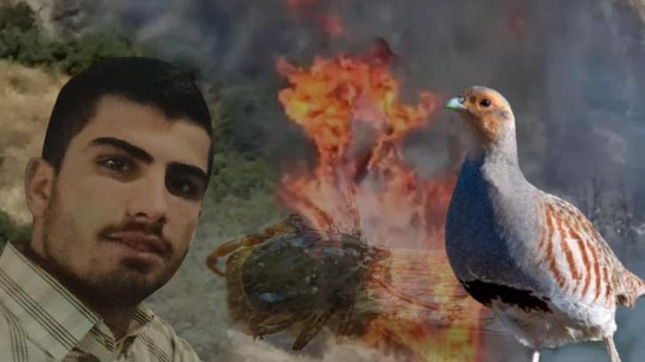 Yastıkta gördü, 120 dönümü yaktı! Kene eve girmez: 'Çaresi ilaç değil, keklikler'