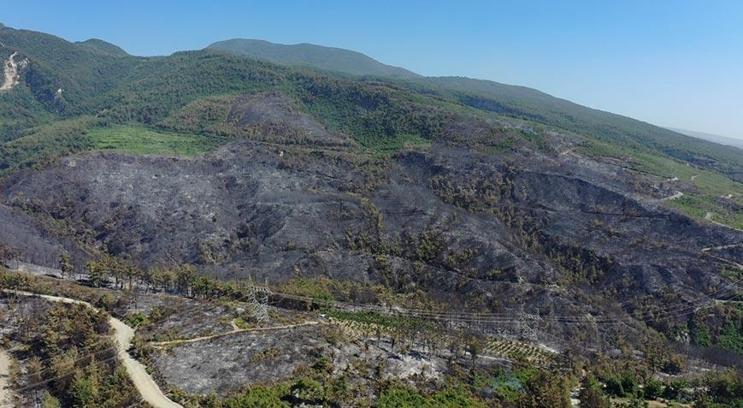 Hatay Dörtyol'daki orman yangını kontrol altına alındı