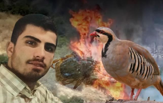Yastıkta gördü, 120 dönümü yaktı! Kene eve girmez: 'Çaresi ilaç değil, keklikler'