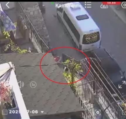 Köpeği taş ve sopayla dövdü