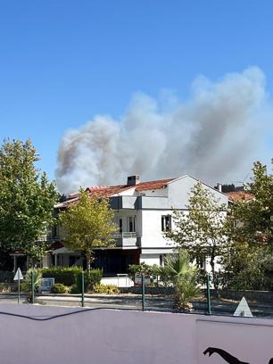 İzmir'de orman yangını