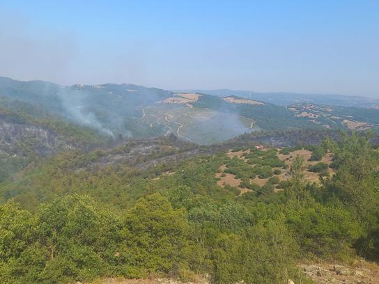Balıkesir'deki orman yangını 2'inci gününde