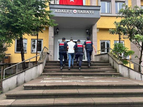 Artvin'de uyuşturucu operasyonunda yakalanan zanlı tutuklandı