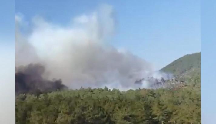 Bursa'da orman yangını