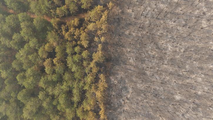 Bursa'daki orman yangını 4'üncü gününde; yanan alanlar dronla görüntülendi