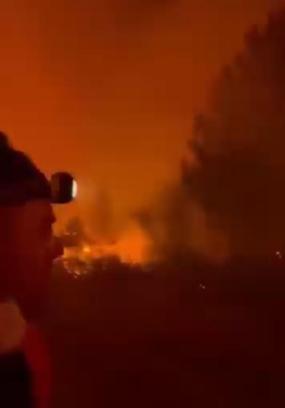 Bursa'daki orman yangını 4'üncü gününde; yanan alanlar dronla görüntülendi (2)