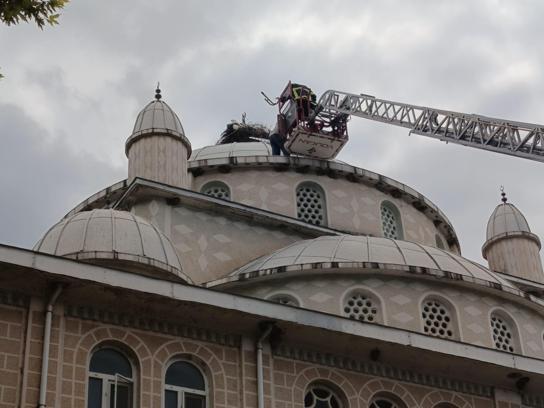 Cami kubbesinde ayağı sıkışan leylek kurtarıldı