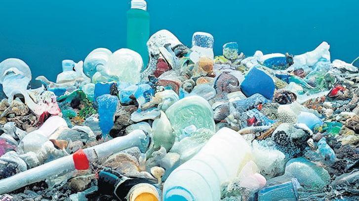 Plastik artıyor canlar gidiyor