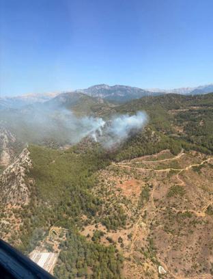 Mersin'de orman yangını