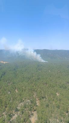 Mersin'de orman yangını