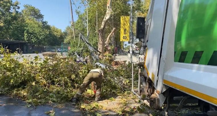 İstanbul - Bakırköy’de rüzgarın etkisiyle devrilen ağaç, Atatürk Ormanı'nın girişini kapattı
