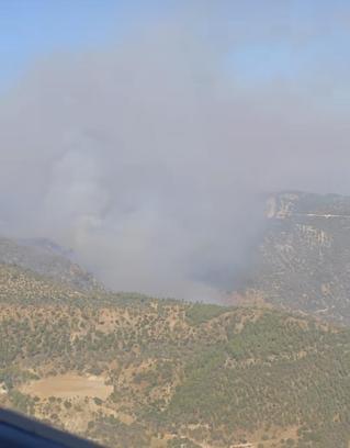 Denizli'deki orman yangını Aydın'a sıçradı