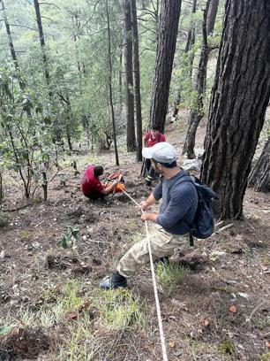 Kayalıklardan düştüğü yerden 4 saatlik çalışmayla kurtarıldı
