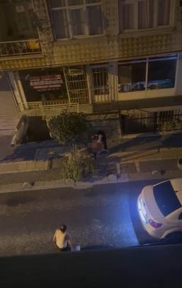 İstanbul - Bahçelievler’de Pitbull cinsi köpek, sahibine saldırdı