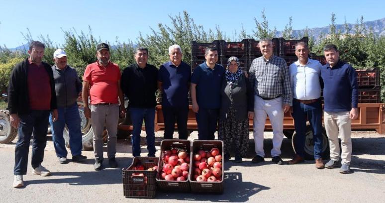 Kaymakam Çakıcı nar hasadına katıldı