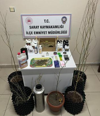 Evlerine kurdukları sistemle kenevir yetiştirip uyuşturucu üreten 5 şüpheli gözaltında