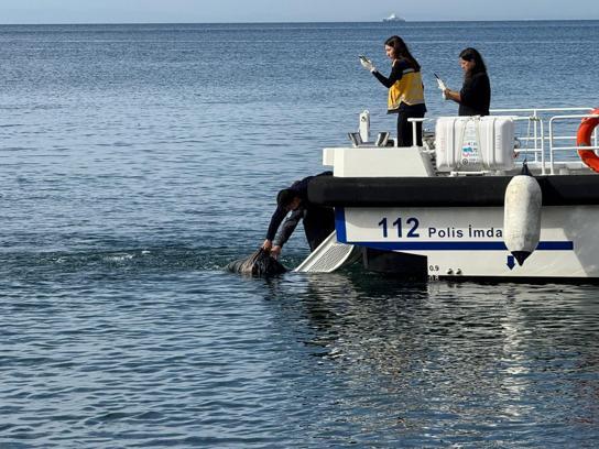 Erdek’te denizde ceset bulundu