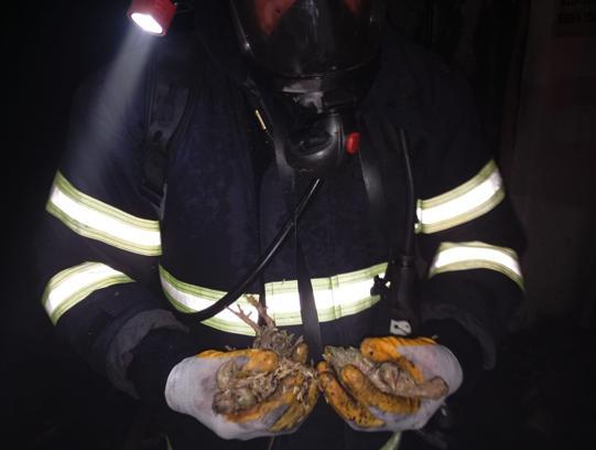 Balıkesir’de tavuk çiftliğinde çıkan yangında 5 bin civciv öldü