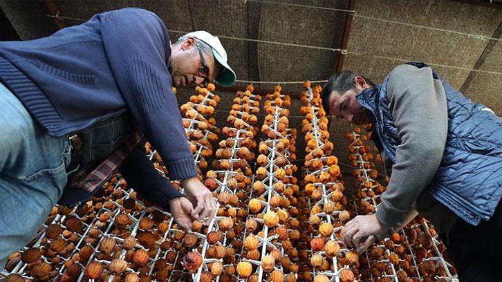 Girişimci iki komşunun kuruttuğu cennet hurması yurt içi ve dışında alıcı buluyor