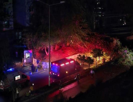 Mersin’de otomobilin üzerine ağaç devrildi