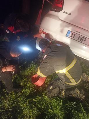 Otomobil ağaca çarptı: 1 yaralı