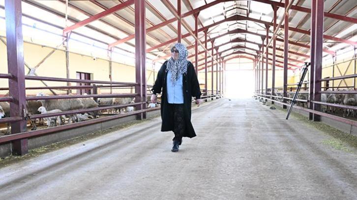 Muhasebeciliği bırakıp memleketine döndü! Hibe desteği ile hayali gerçek oldu: 'En güzel şey çalışmak'