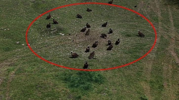 Doğanın devleri aynı anda ortaya çıktı! Türkiye'de nadir görülen an