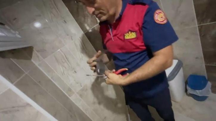 Havalandırma boşluğunda mahsur kalan sığırcık kurtarıldı