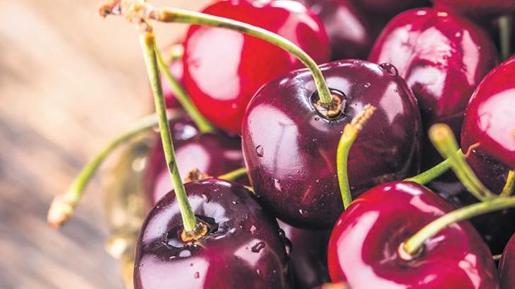 Yaş meyve sebze ihracatında ilk yarı rekoru geldi! 100 bin ton az 700 milyon dolar fazla