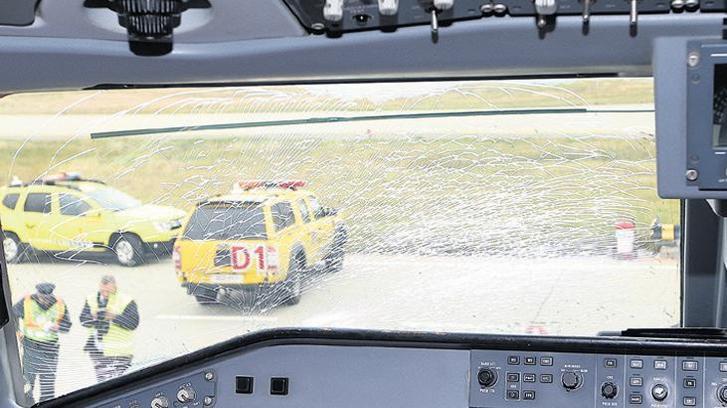 Sivil uçuş emniyetinde en çok kuş çarpması sorun oldu
