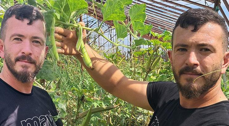 Tohumu yurt dışından geldi! Tarlada şaşkına döndü:: Tanesi 70 liradan kapış kapış satılıyor