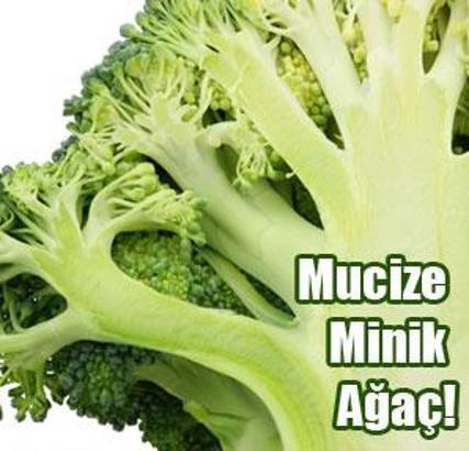 Yeşil Mucize Brokoli!