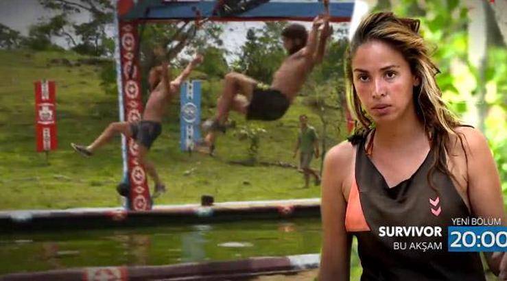 Survivor tv8
