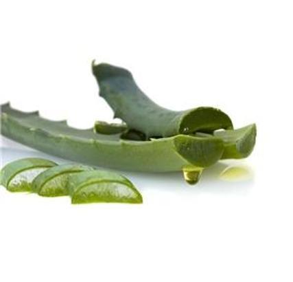 Aloe Vera Jeli Nasıl Yapılır ve Faydaları Nelerdir?