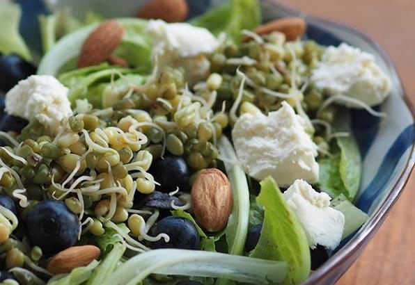 Filizlendirilmiş maş fasulyeli ve yaban mersinli marul salatası