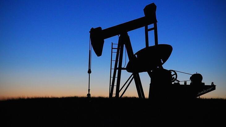 ABD petrol stokları 0.95 milyon varil yükseldi