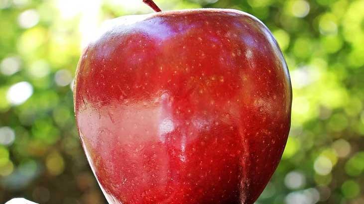 Rüyada Kırmızı Elma Görmek Nedir? Elma Toplayıp Yemek Ne Demek?