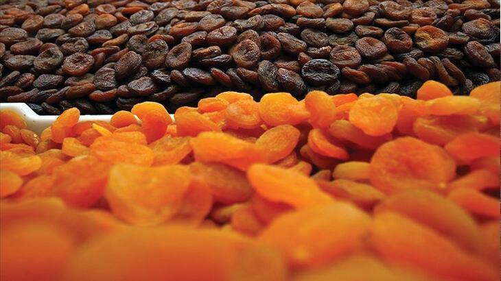 Rüyada Kuru Kayısı Görmek Nedir? Ağaçta Kurtlanmış Kuru Kayısı Olması