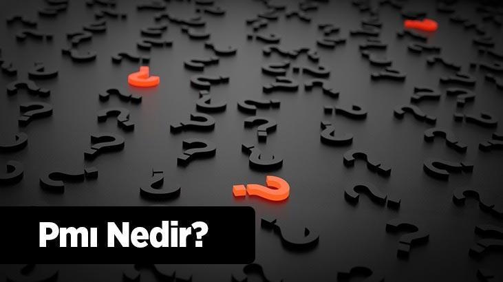 Pmı Nedir? Pmı Endeksi Nasıl Hesaplanır?