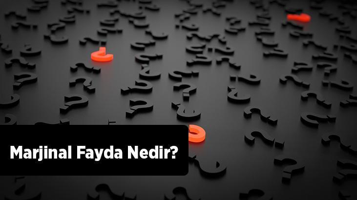 Marjinal Fayda Nedir? Azalan Marjinal Fayda Örnekleri Nelerdir?