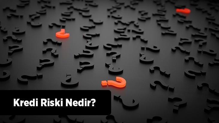 Kredi Riski Nedir? Bankacılıkta Kredi Ve Kredi Riski