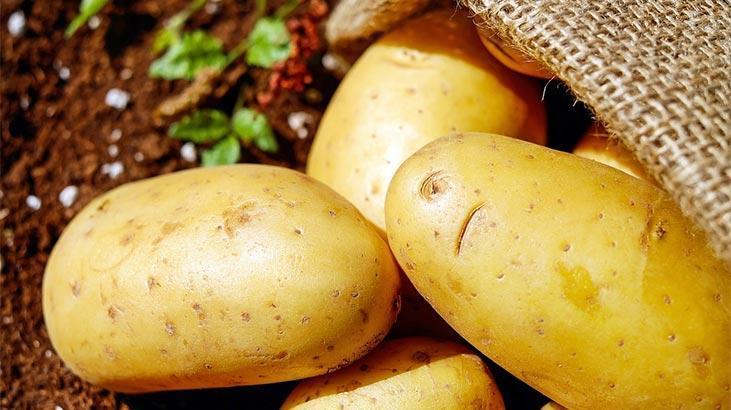 Rüyada Patates Soğan Görmek Ne Demek? Tarlada Çuvalla Soğan Patates Görmek