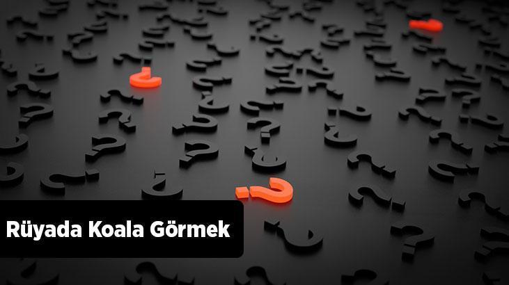 Rüyada Koala Görmek Ne Demek? Beyaz Koala Yavrusu Görmek Ve Sevmek