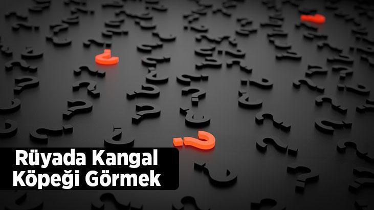 Rüyada Kangal Köpeği Görmek Ne Demek? Evde Beyaz Çoban Köpekleri Görmek