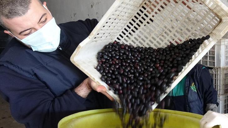Hem doğal hem de lezzetli! Tuz koyup 3 günde bir yuvarlıyorlar